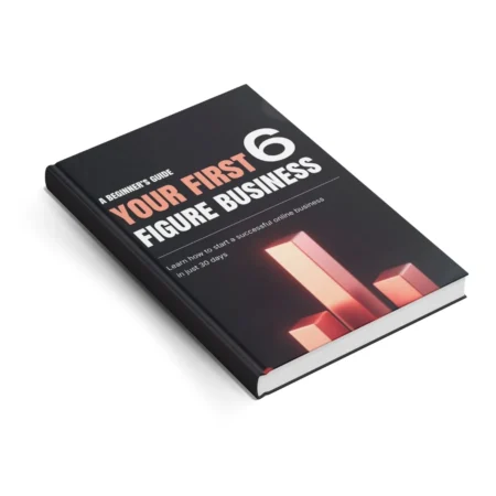 your first 6 figure business: a beginner’s guide